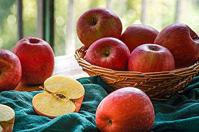 《艾尔登法环》开场动画泄露 时长3分零13秒